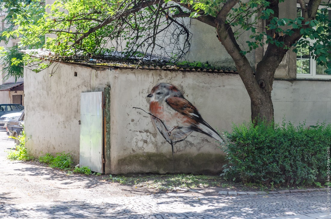 Graffiti - a frozen sparrow in Uzhhorod