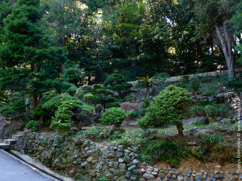 Дорога через японский сад
