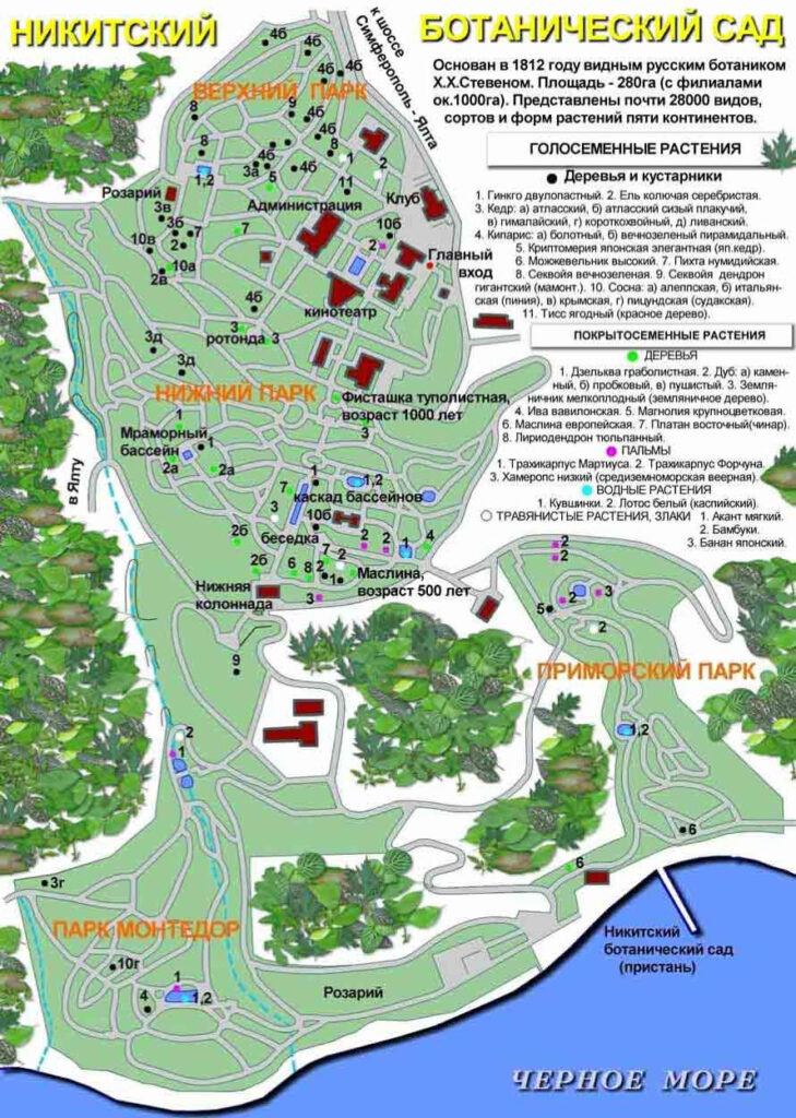 Схема, карта и план Никитского ботанического сада