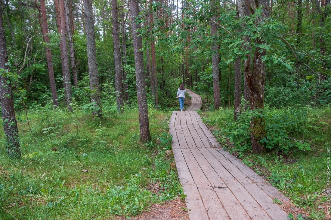 Начало учебной тропы на болоте Пяэсклюла в Таллине