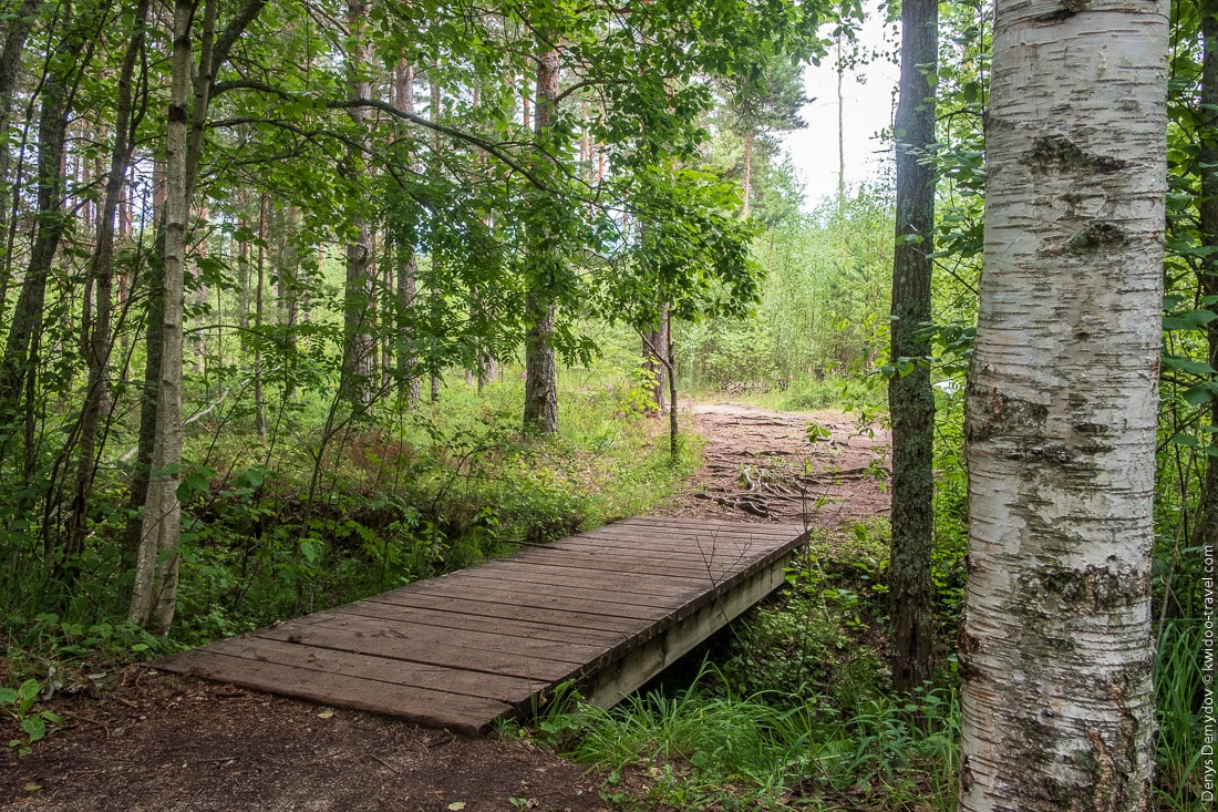 Небольшой мостик через речку в заповеднике Pääsküla