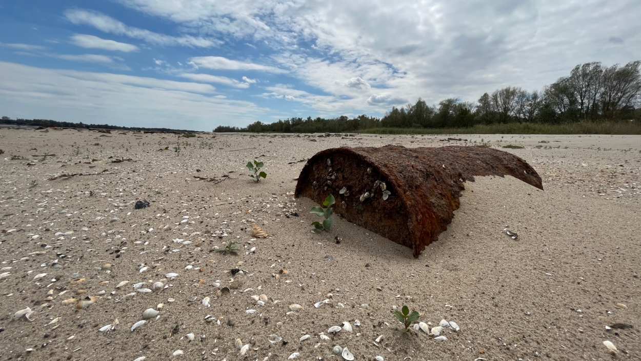 Ржавая бочка, много лет пролежавшая под водой.