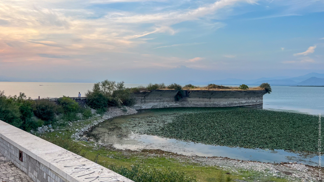 There's a concrete structure covered with plants that sticks out from the shore into the water of Skadar Lake in the village of Shiroka. Lilies cover the water, and the setting sun colors the sky.