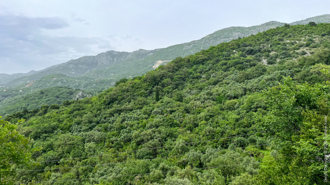 View of the green-covered mountain slopes in the Budva area from Ivanovići Cave.