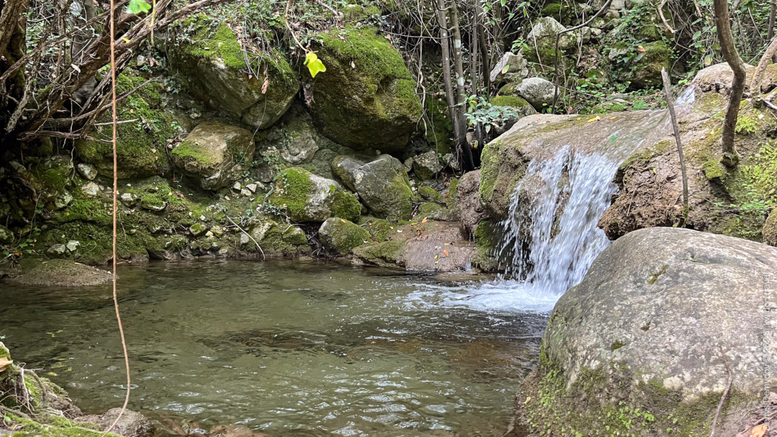 A very small waterfall on a rivulet. There are a lot of stones covered in moss.