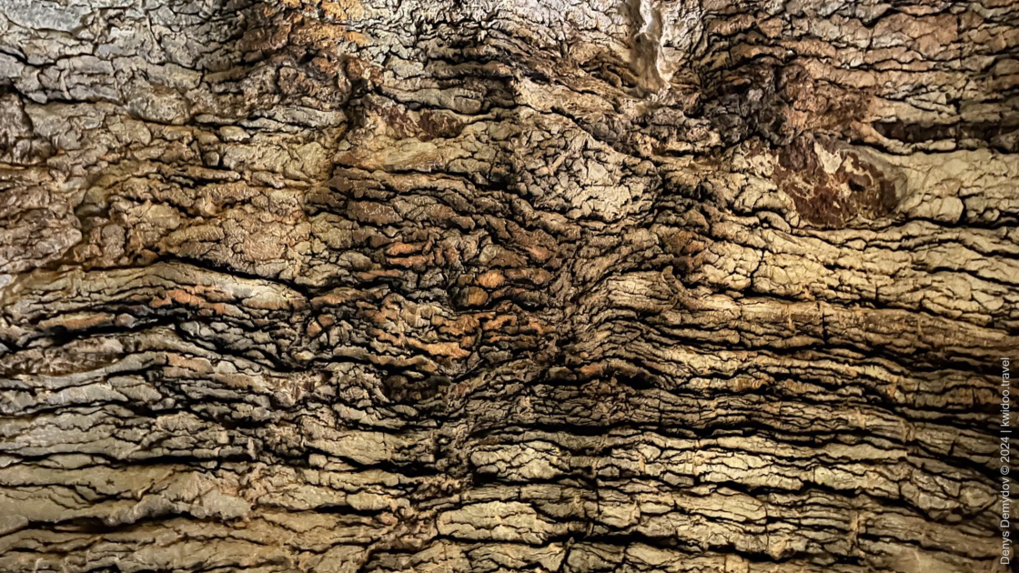 Wall texture of the Ivanovici karst cave in Montenegro.