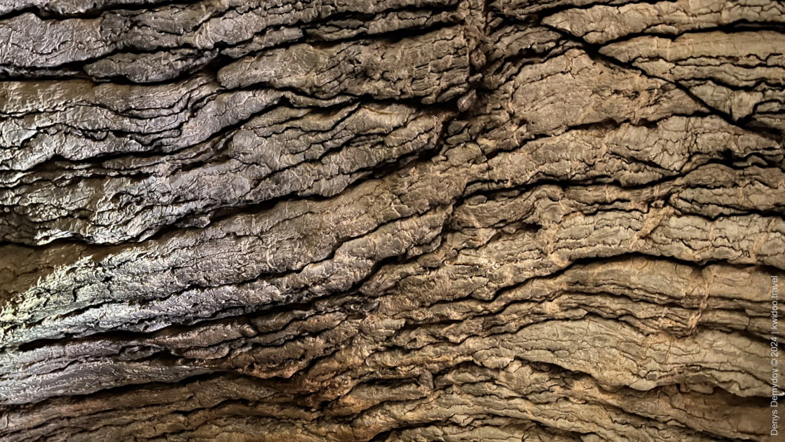 Texture of the ceiling in the Ivanovici karst cave in Montenegro.