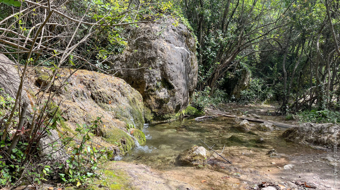 The trail to the Ivanovici Cave runs among the trees. Underfoot are creeks and rocks, and sometimes mud.