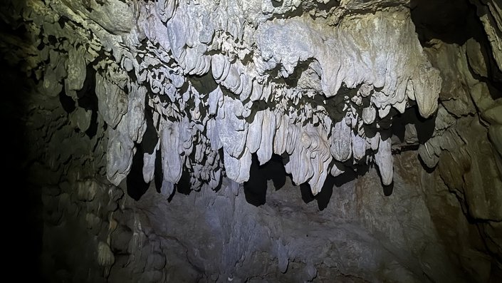 spila-velja-gorana-nateki-na-svode